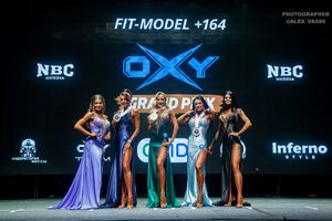 FIT-MODEL + 164 раунд 2